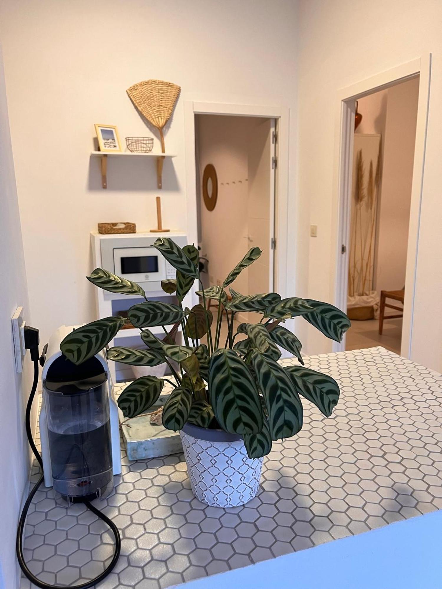 Apartamento Lances - Piscina Y Patio Tarifa